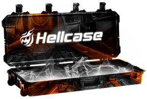 cs2-limited-case